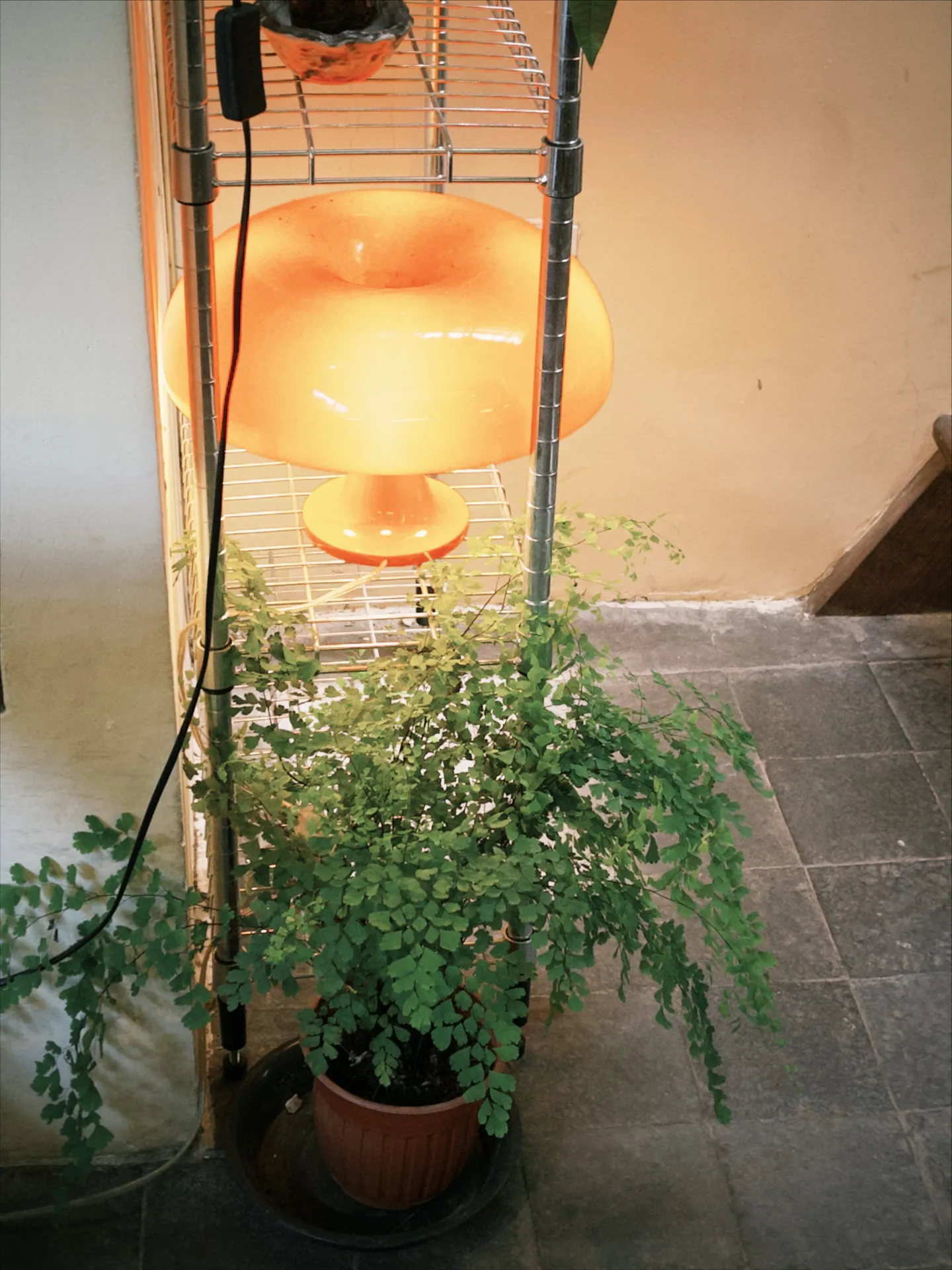 마치야 커피 - all