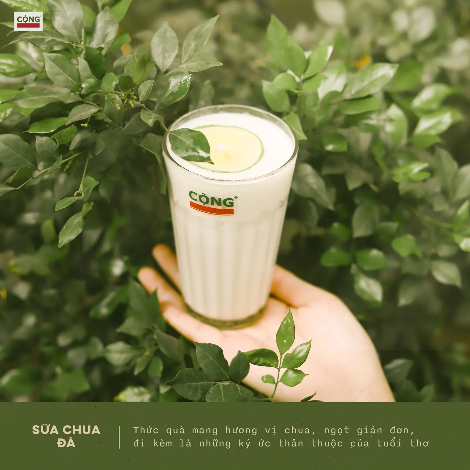 Cong Ca Phe - District 1 - all