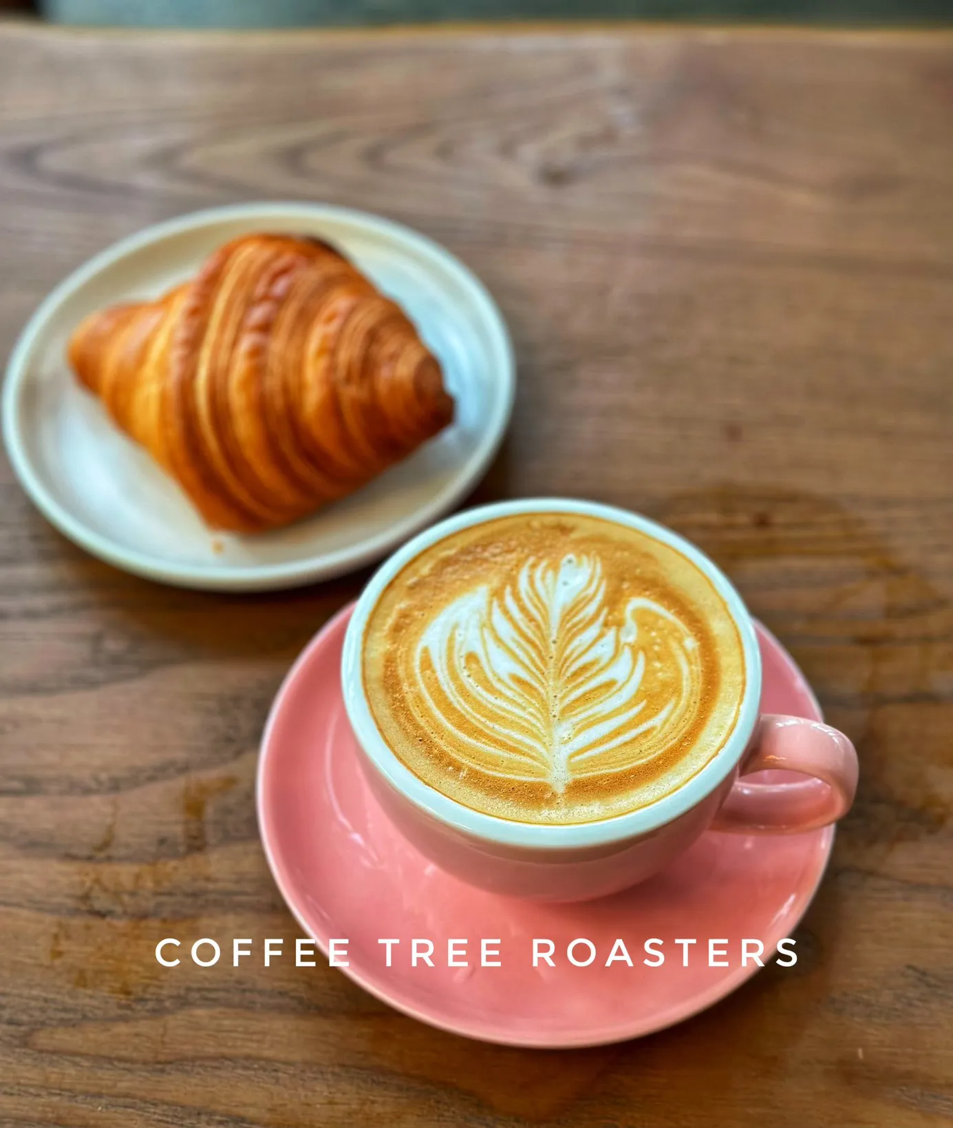 커피트리 로스터스 - Coffee Tree Roasters