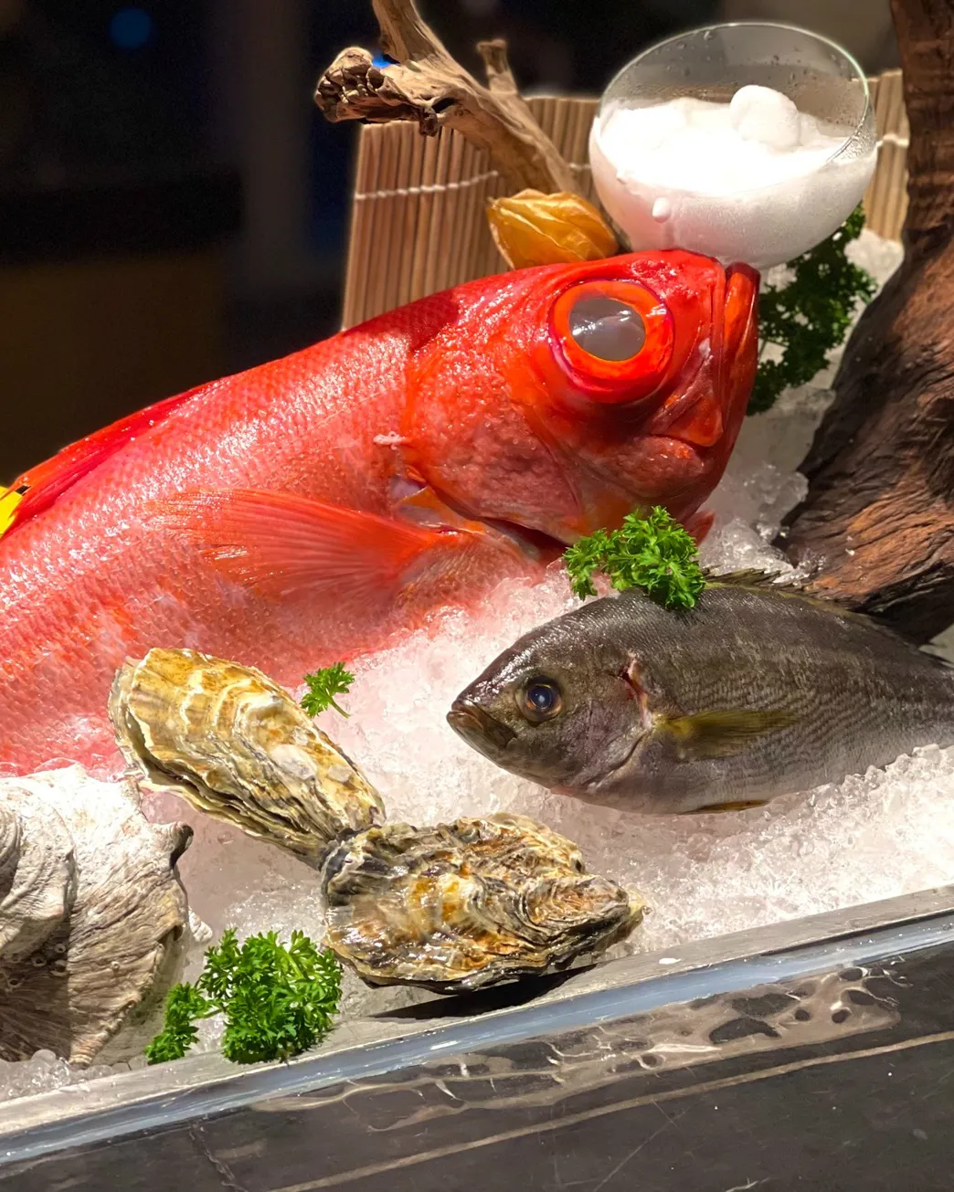 Towa - Japanese Cuisine & Lounge - all