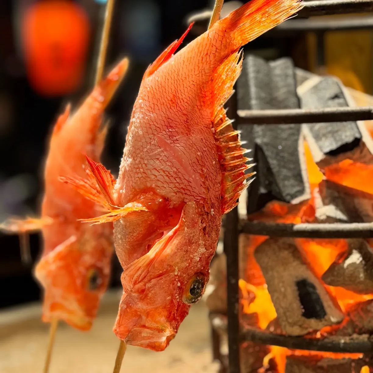 KAWASHIMA SHOTEN - all