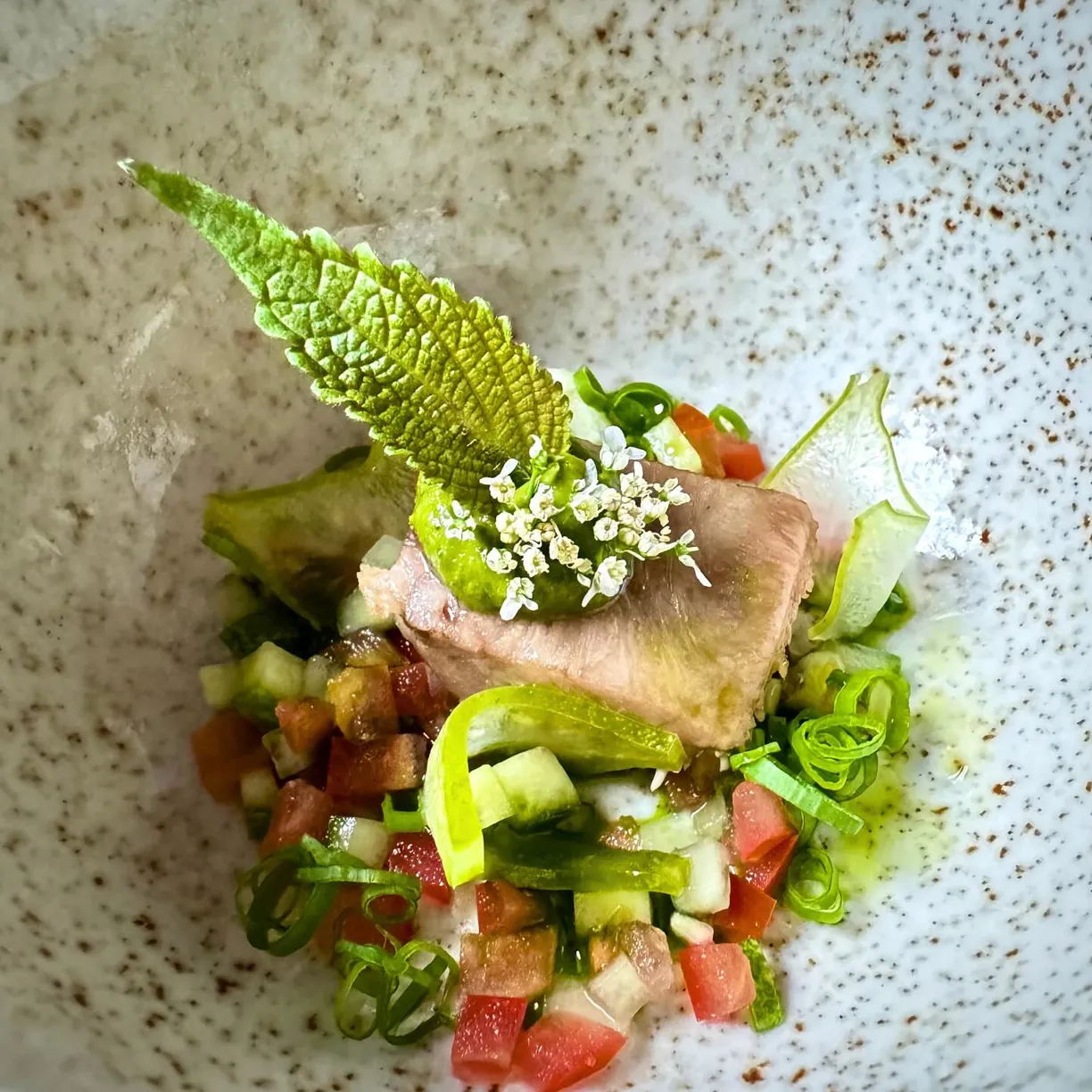 퀸스 사이공 - 8