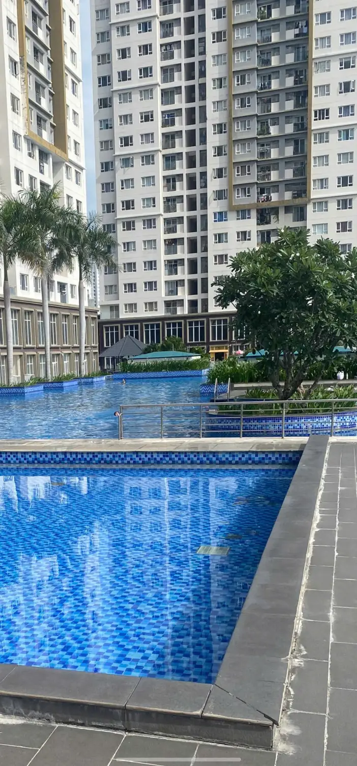 Swimming lessons for beginners or those who already know.