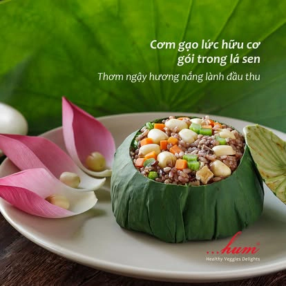 Hum - 채식 레스토랑 - 1