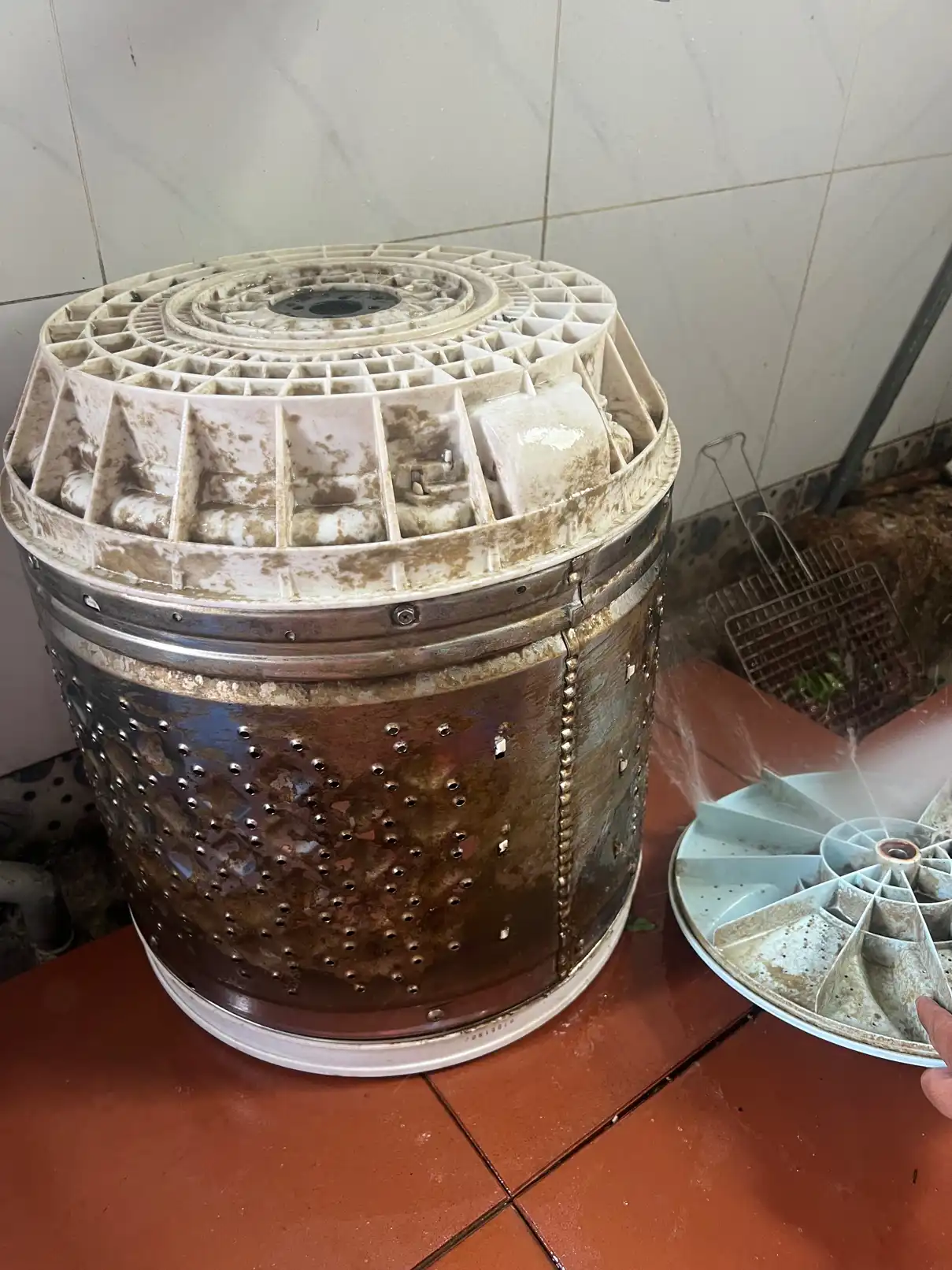 Điện lạnh Hoàng Khanh chuyên lắp đặt mua bán sửa chữa vệ sinh máy lanh máy giặt khu vự tpHcm
0949.120.996 | anh_Nguyen