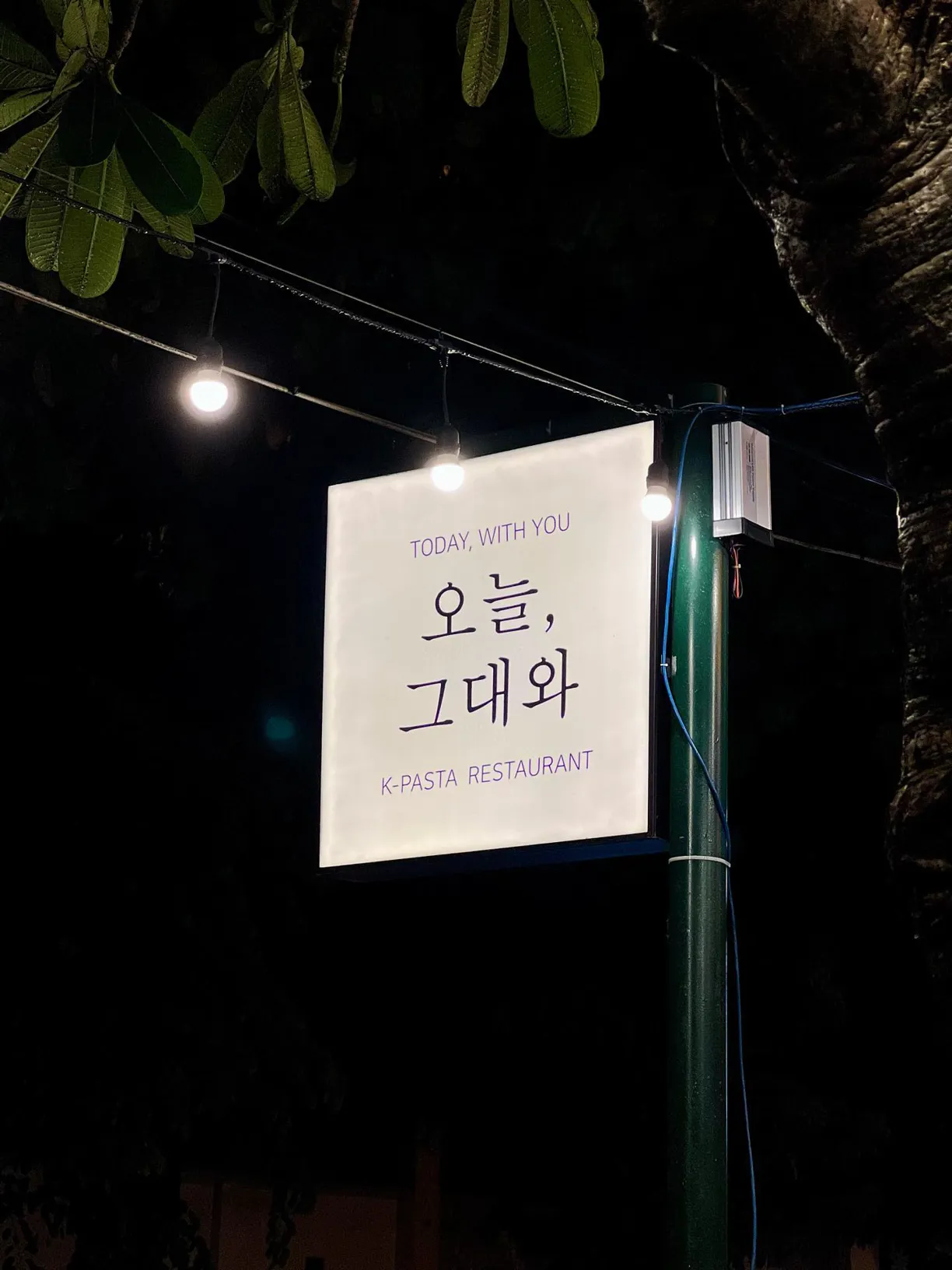 Today, With You - all