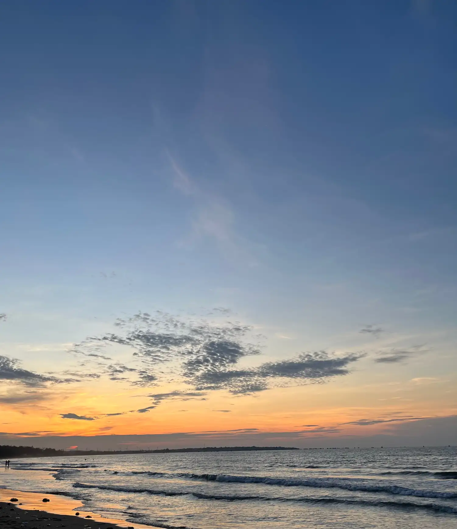 내 고향 바다 🌊 | 박민영