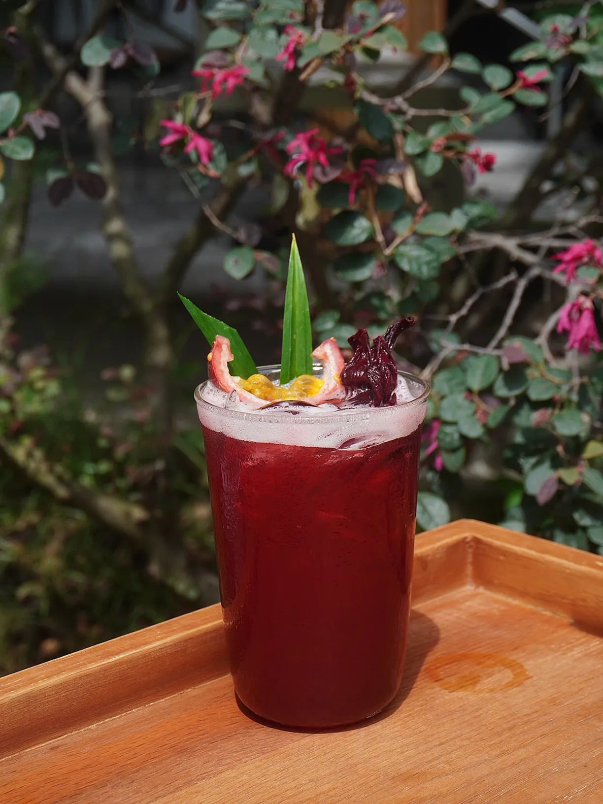 커피트리 로스터스 - Coffee Tree Roasters - all