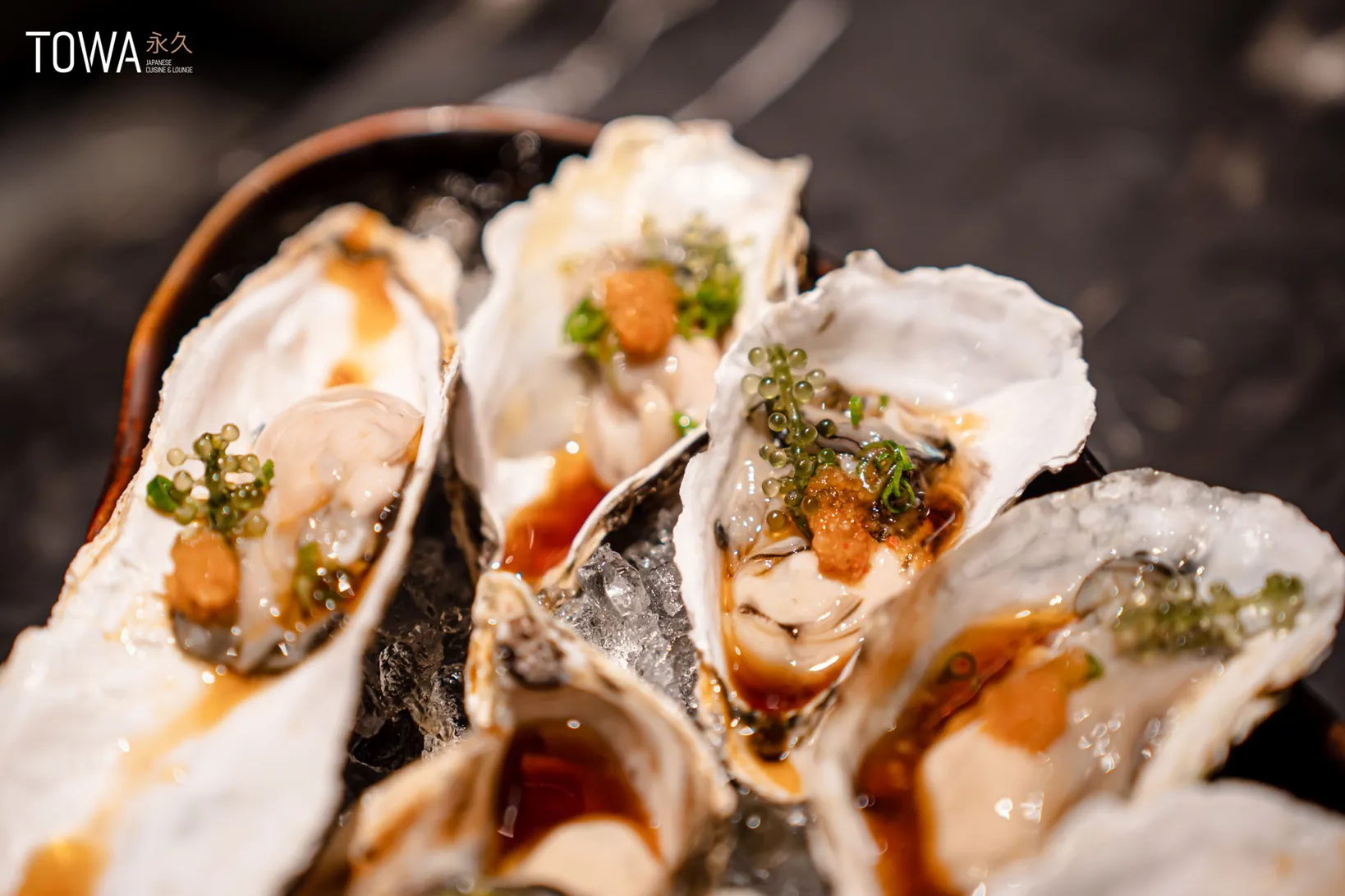 Towa - Japanese Cuisine & Lounge - all