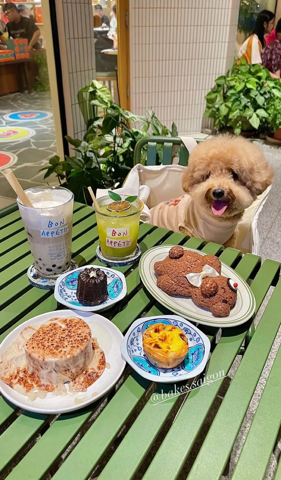 베이크스 타오디엔 - 4