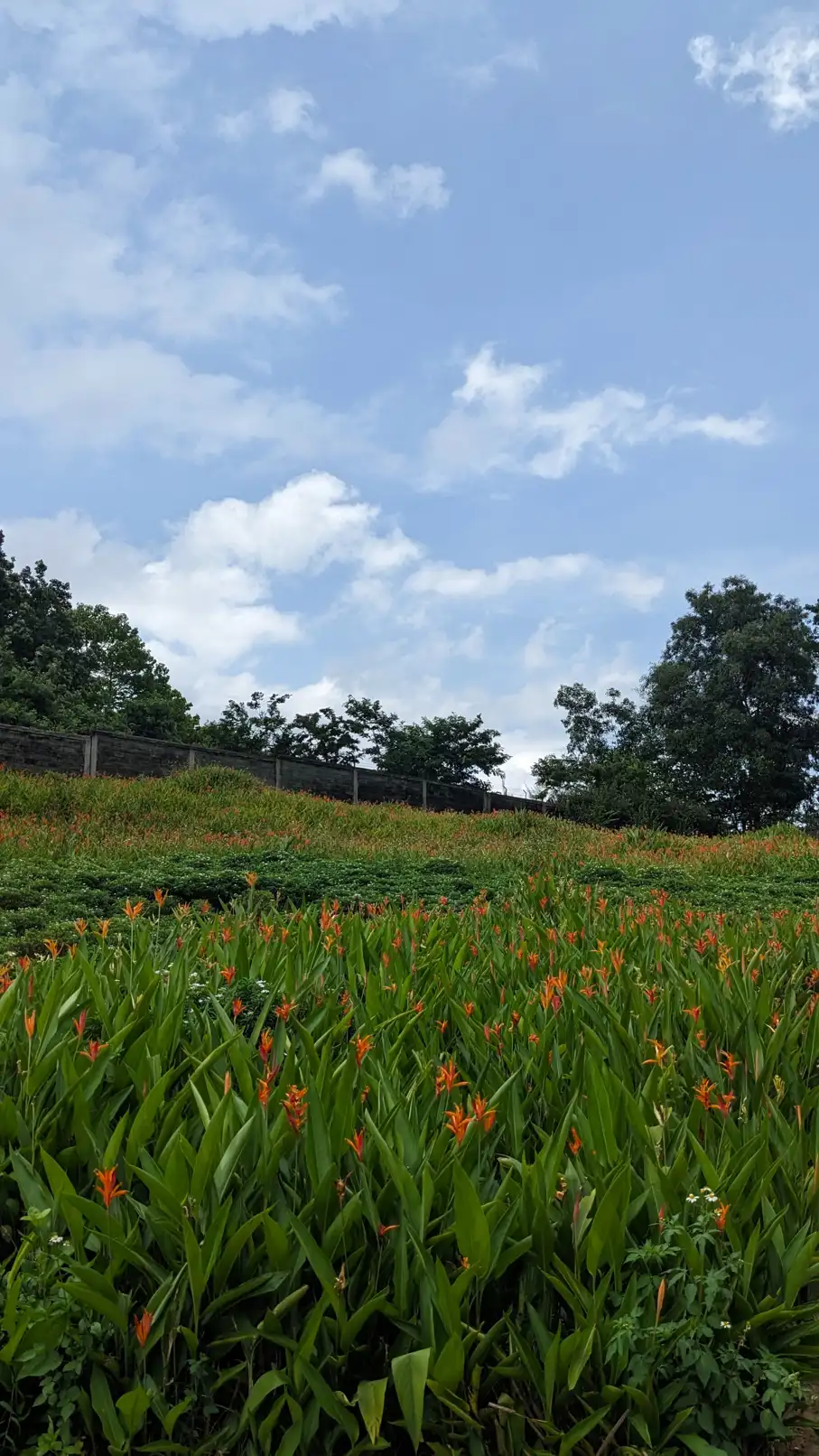 Beautiful natural scenery at Dong Nai Golf Resort | Quan_Nguyen