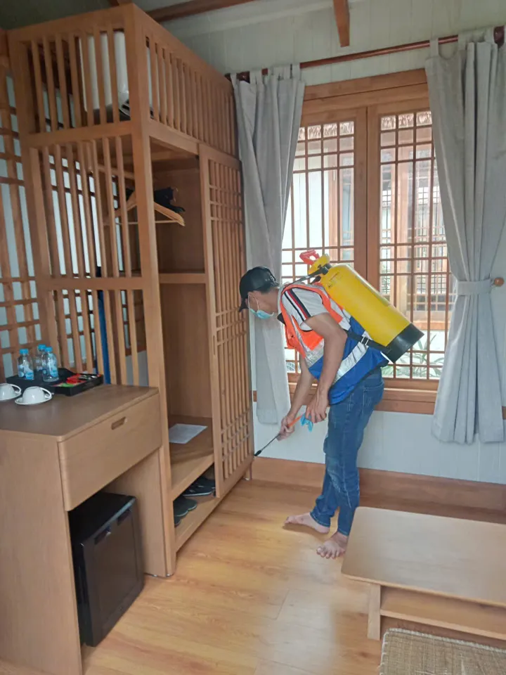 곰팡이와 해충 안녕: 당신의 생활 환경을 보호하는 해결책 - 2