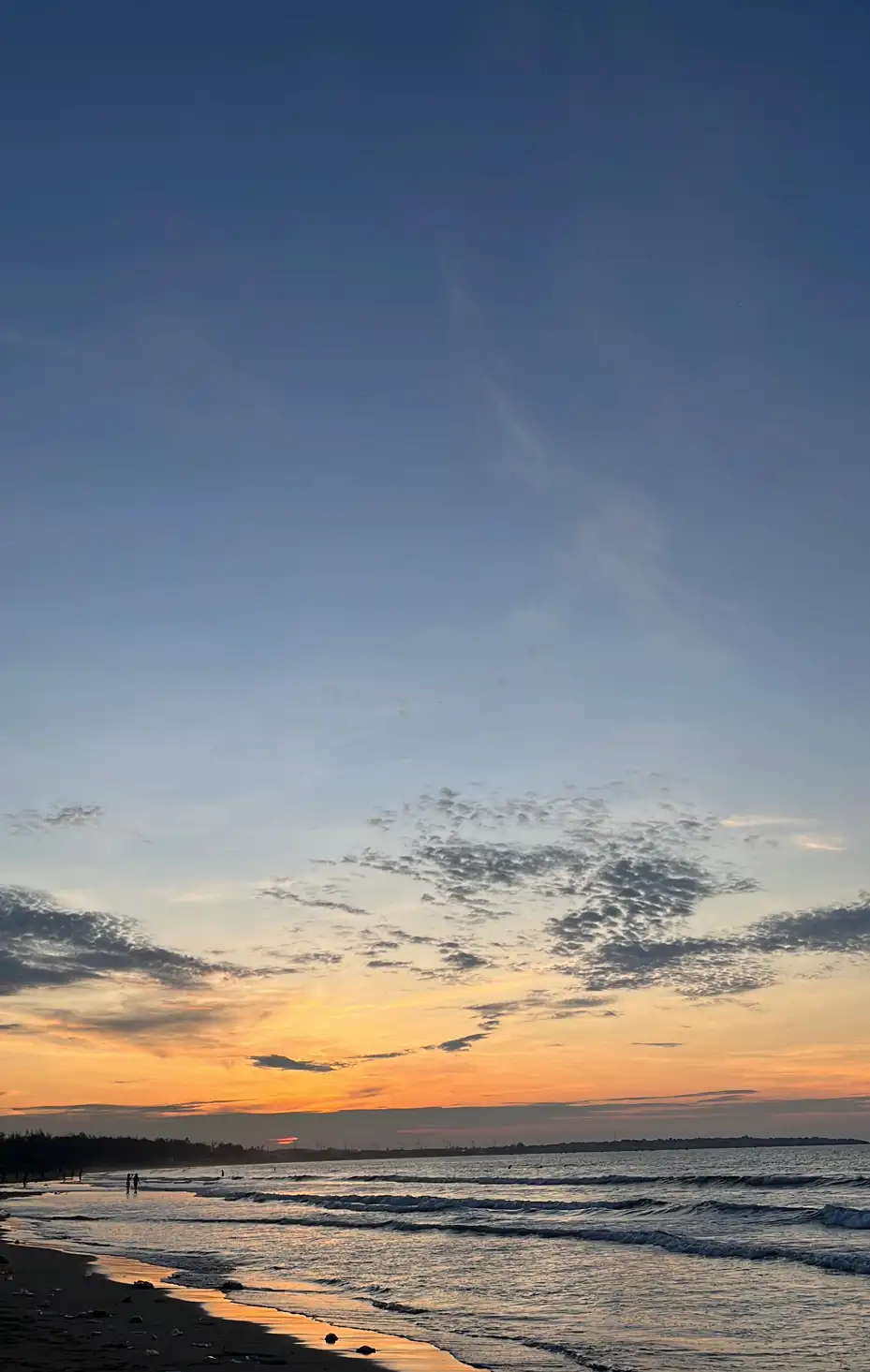 내 고향 바다 🌊 | 박민영