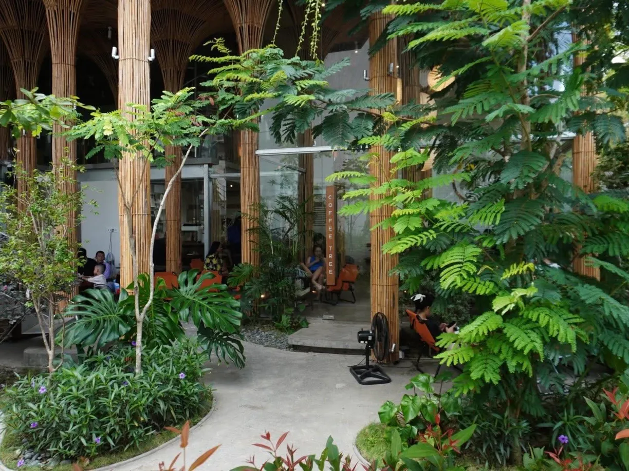 커피트리 로스터스 - Coffee Tree Roasters - 2