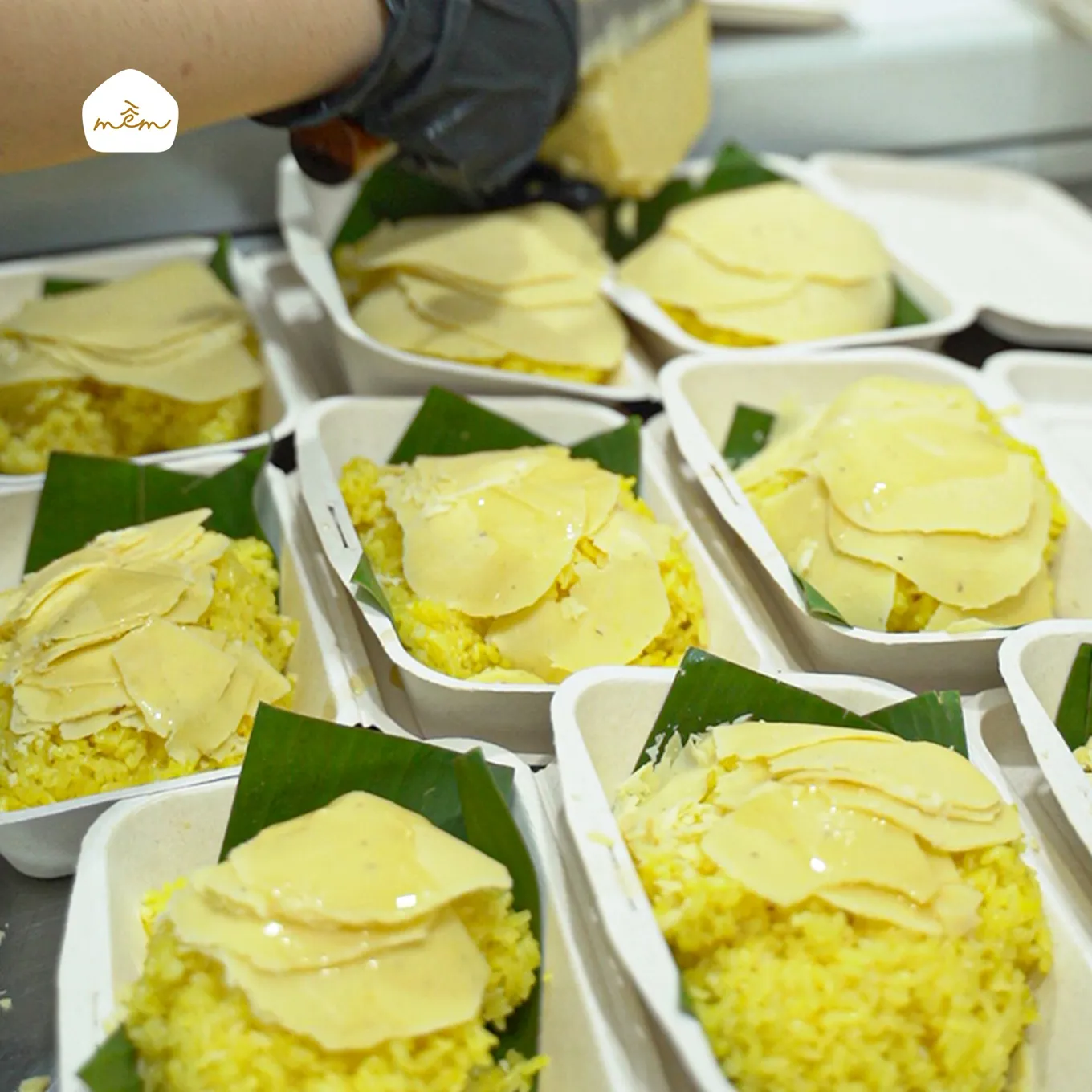 MEM Sticky Rice - all