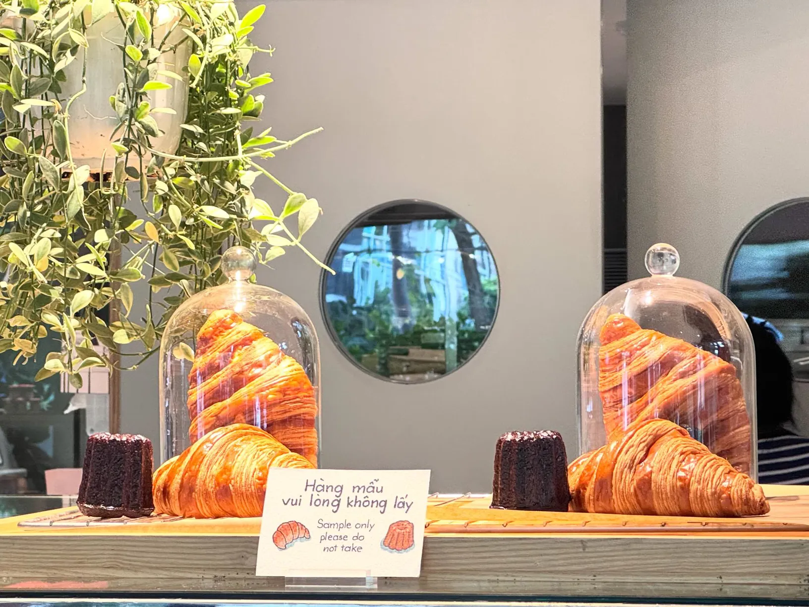 베이크스 타오디엔 - all