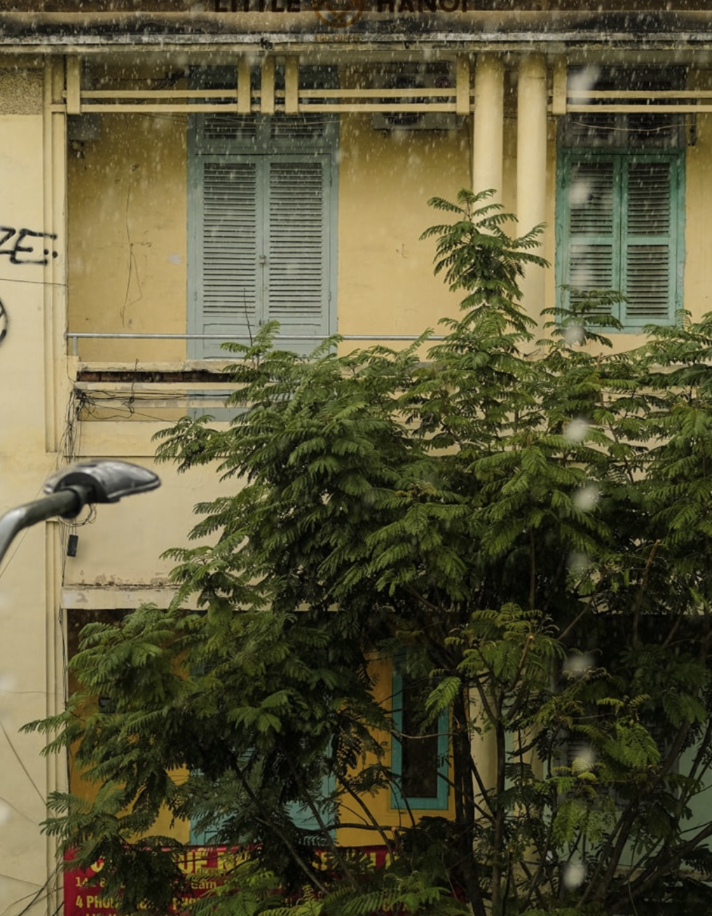 Little HaNoi Egg Coffee (Yersin) - all