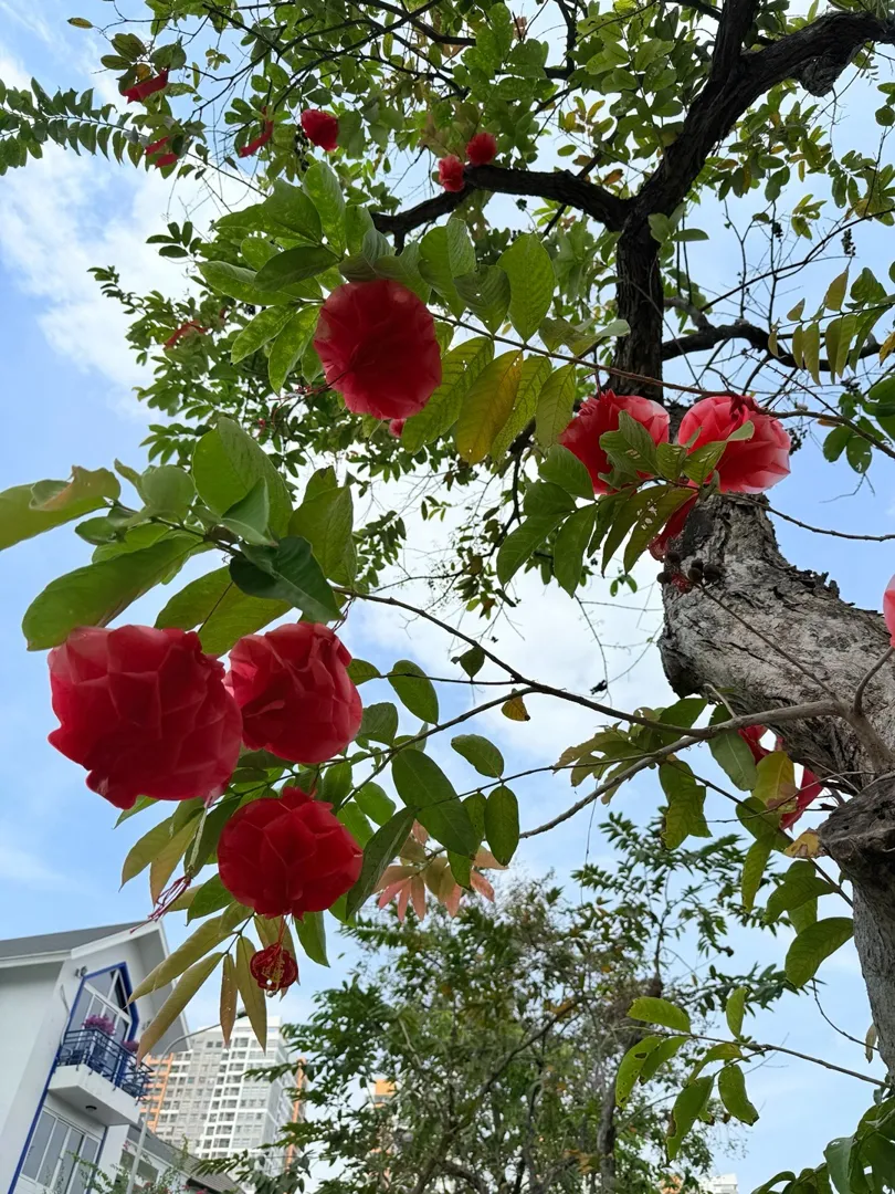 점심 먹고 커피 한 잔 사서 자리로 돌아가는 길.
딱히 뭘 하는 것도 아니고, 그냥 걷고 있는데
이 시간이 왠지 제일 조용하고 편하다.

해야 할 일은 산더미인데,
지금만큼은 그냥 아무 생각 없이 커피나 마셔야지.

다들 점심 잘 챙겼나요? ☕️ | Bubbleluv