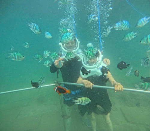 English-speaking tour guide, Saigon city tour, Mekong tour, Cu Chi tunnels tour, rural area tour - 2