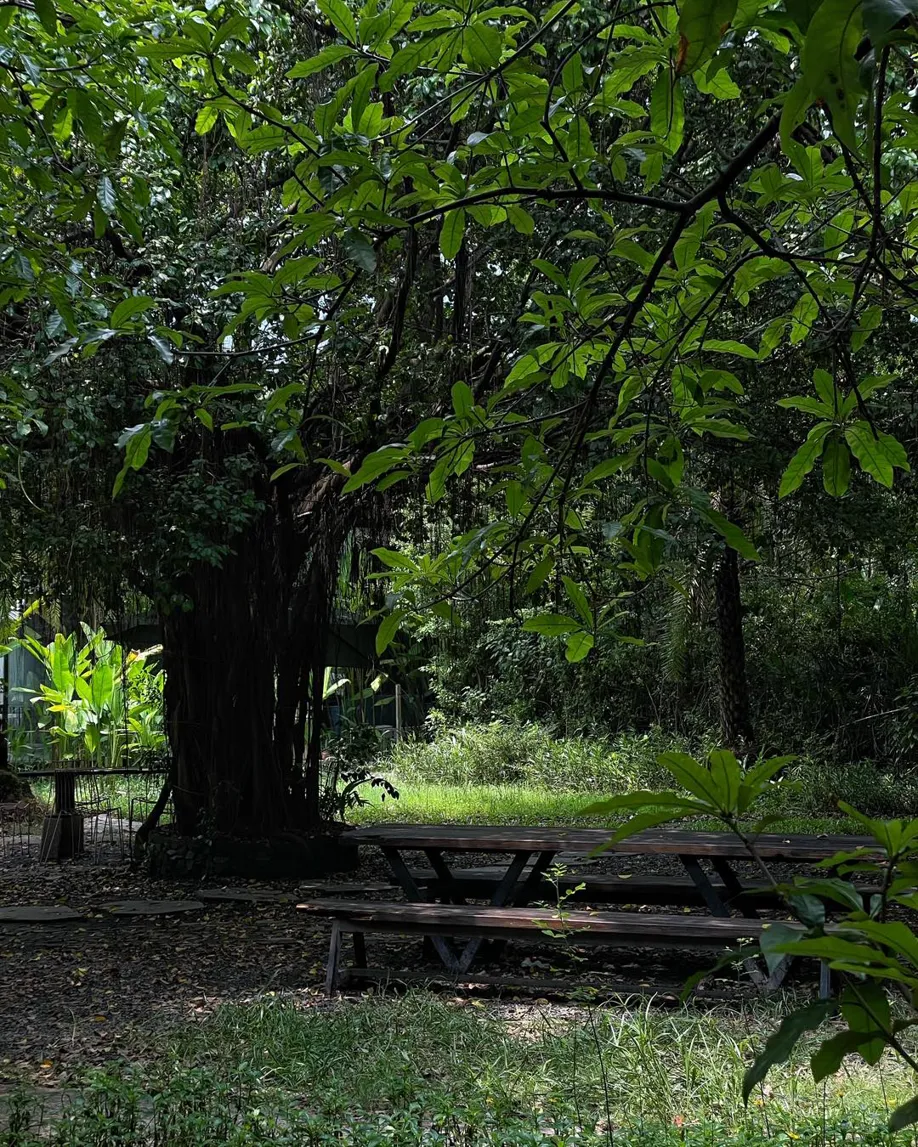 MEM Sticky Rice - all