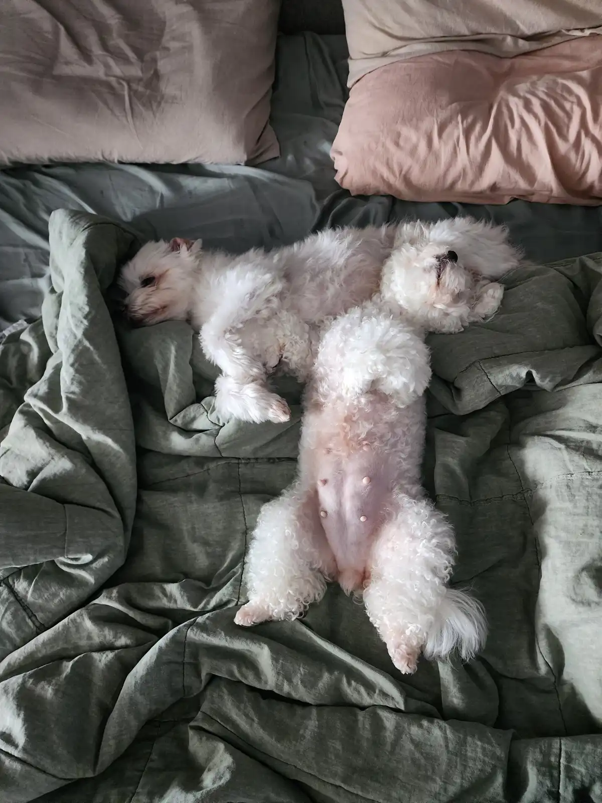 뜬금 없습니다. ㅎㅎㅎ | Eric