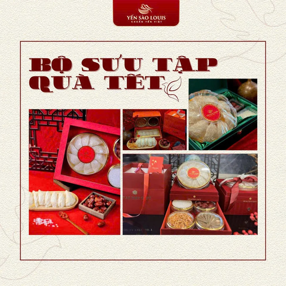 YẾN SÀO LOUIS - MÓN QUÀ CHO SỨC KHỎE - 7