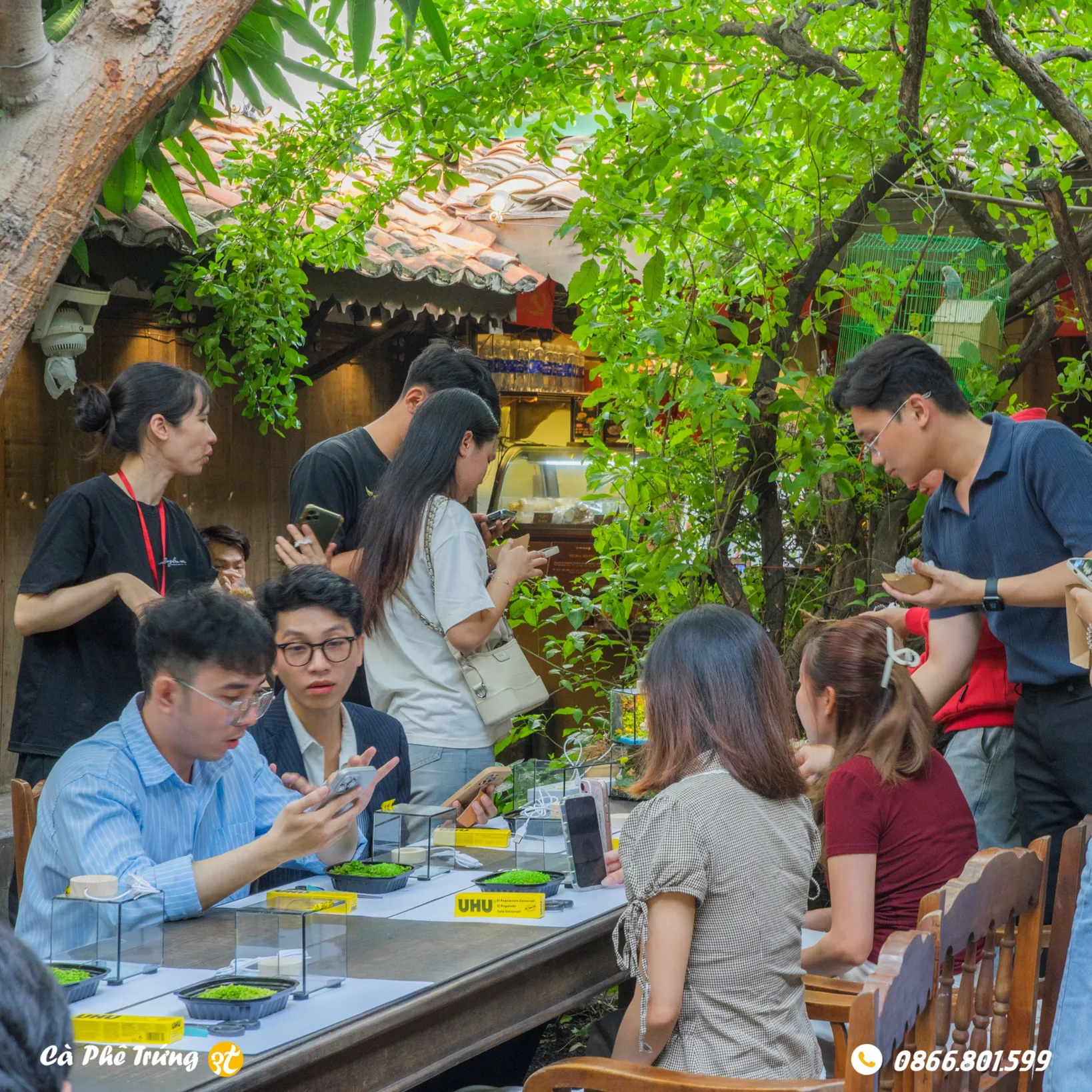 Cà Phê Trứng 3T - all