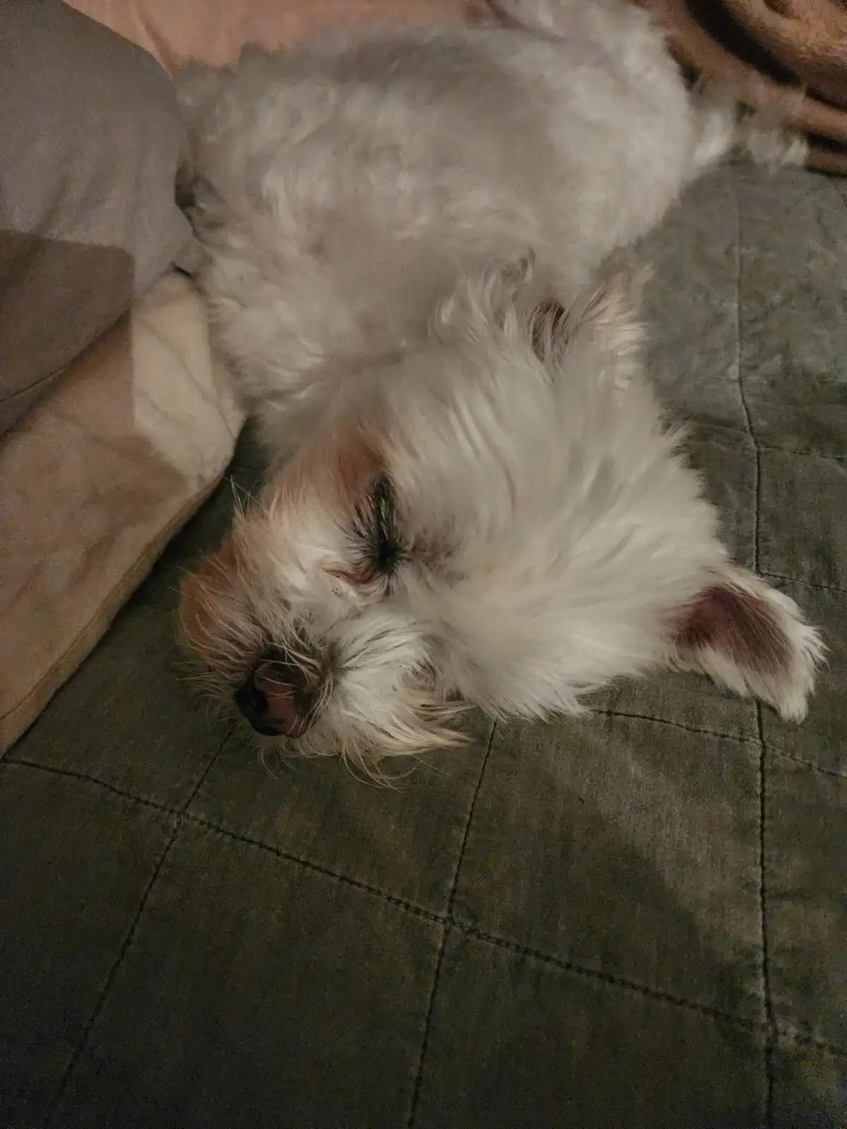 뜬금 없습니다. ㅎㅎㅎ | Eric