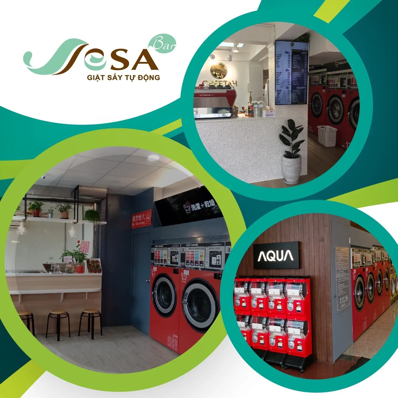 SESA Coin Laundry - Specializing in opening automatic laundry stores