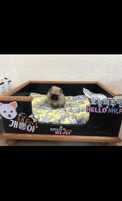 찬호박