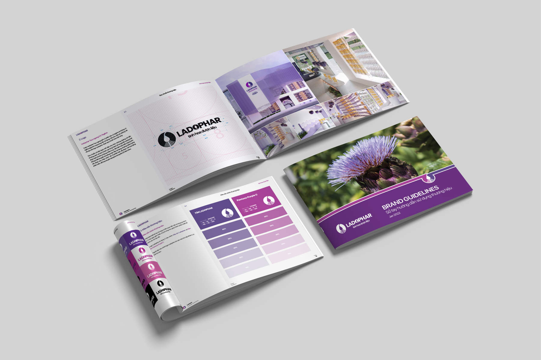 Brand identity design