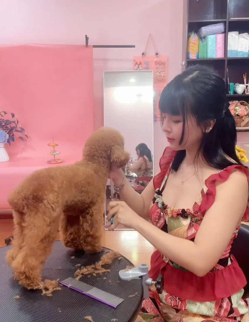 반려동물을 위한 특별한 변신 공간 Pet Idol 입니다. - 1