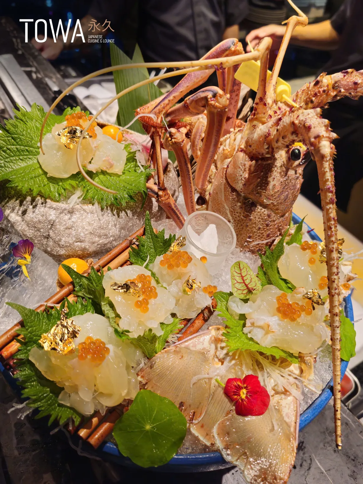 Towa - Japanese Cuisine & Lounge - 3