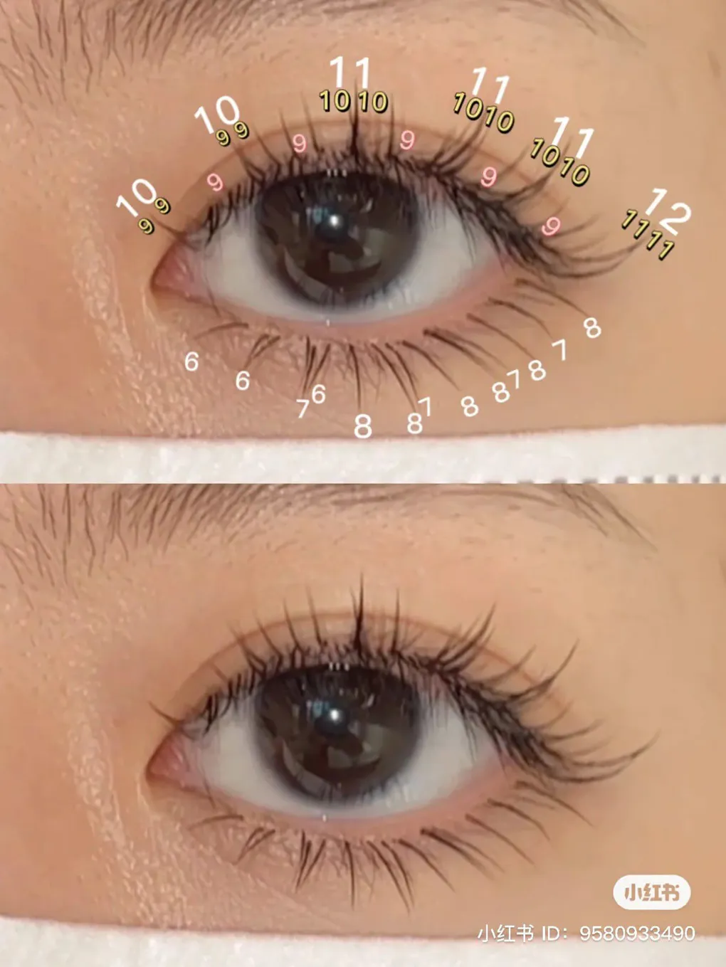 전문적인 홈 방문 속눈썹 연장 서비스 – 볼륨 & 위스피 전문 시술 - 2