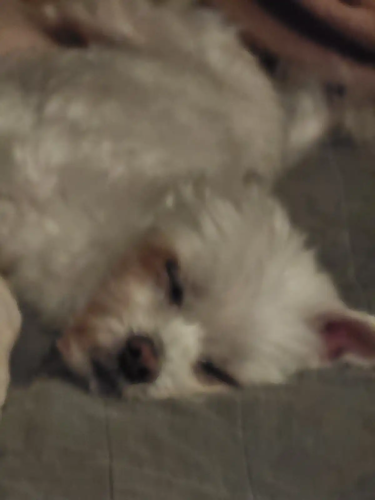 뜬금 없습니다. ㅎㅎㅎ | Eric