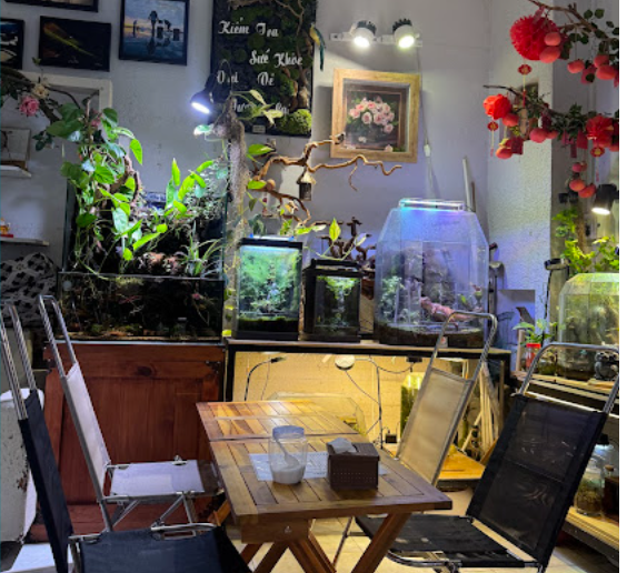 Bun Dau Mam Tom – No Restaurant - all