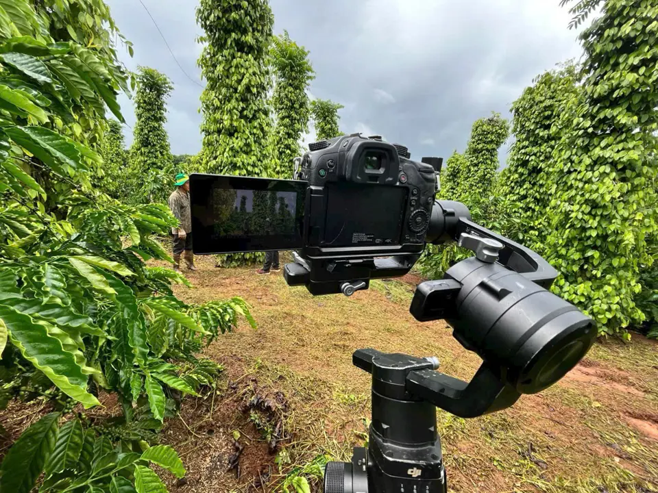 Storytelling through images: The art of high-quality filmmaking
