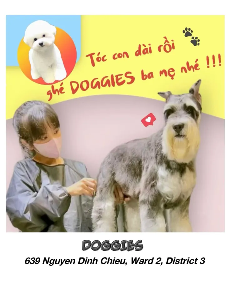 Comprehensive pet care, where your beloved pet shines