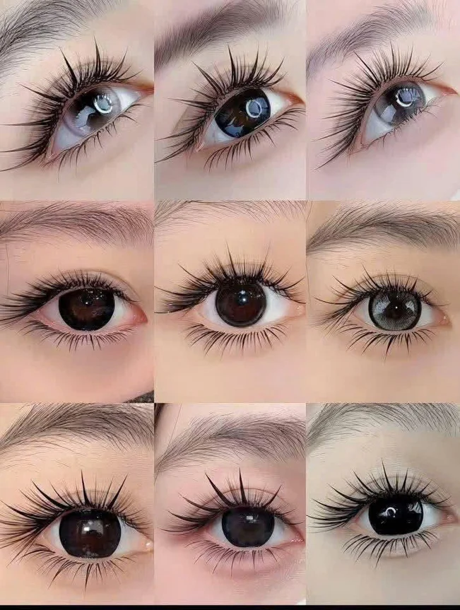 홈 방문 속눈썹 연장 서비스 – 자연스러움·안전·합리적인 가격 보장 - 1