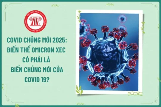 호찌민시 보건국, 오미크론 XEC 변이 관련 입장 발표

— 2025년 COVID-19 대응 및 오미크론 XEC 변이 관련 지침 발표 —
2025년 5월 20일, 호찌민시 보건국은 질병관리센터(TPHCM CDC), 열대병원, Nhi Dong 1 병원, 옥스퍼드대학교 임상연구소(OUCRU), 감염병 분야 전문가들과 함께 코로나19 상황을 분석하고 대 ... | 이서현