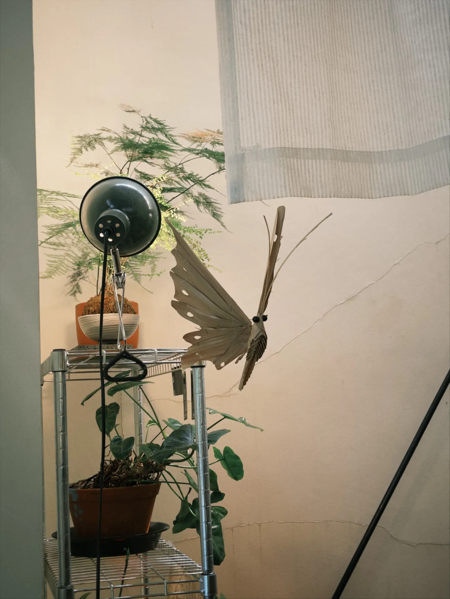 마치야 커피 - all