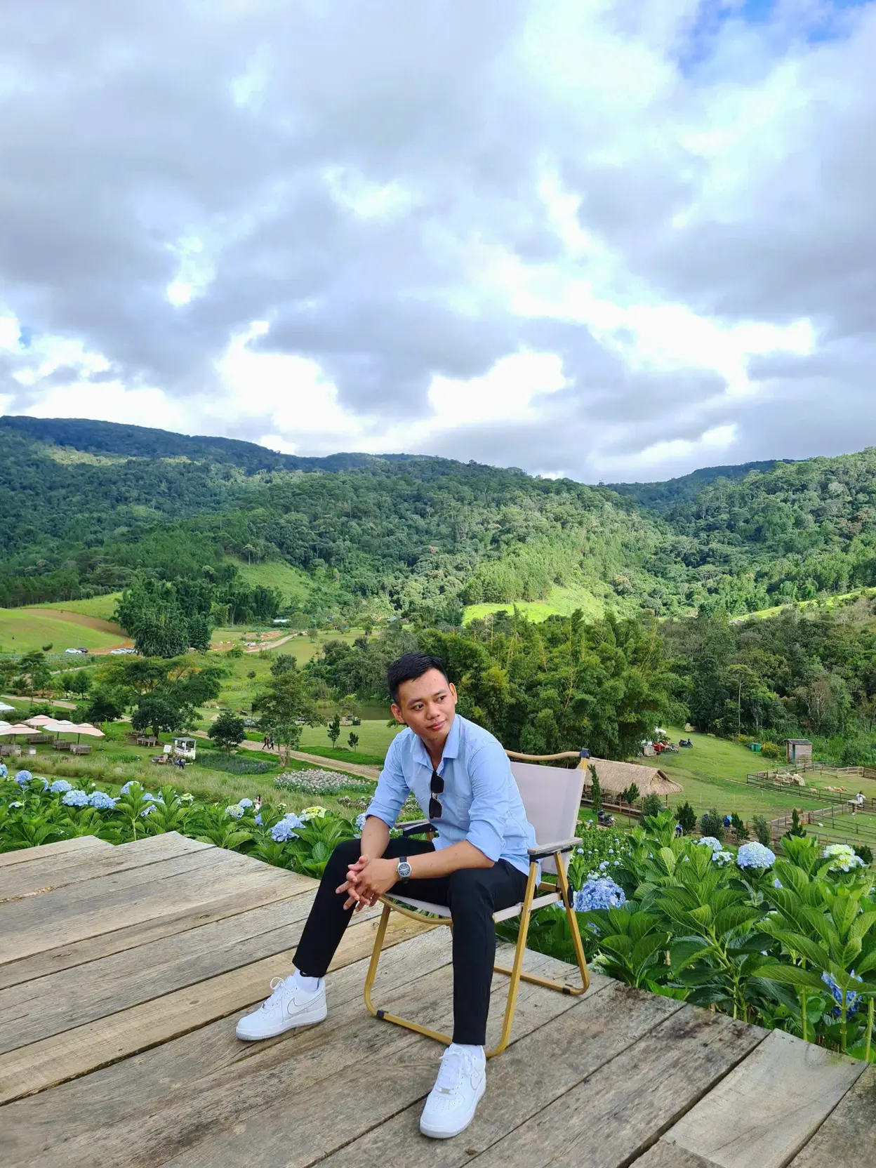 Roynguyen