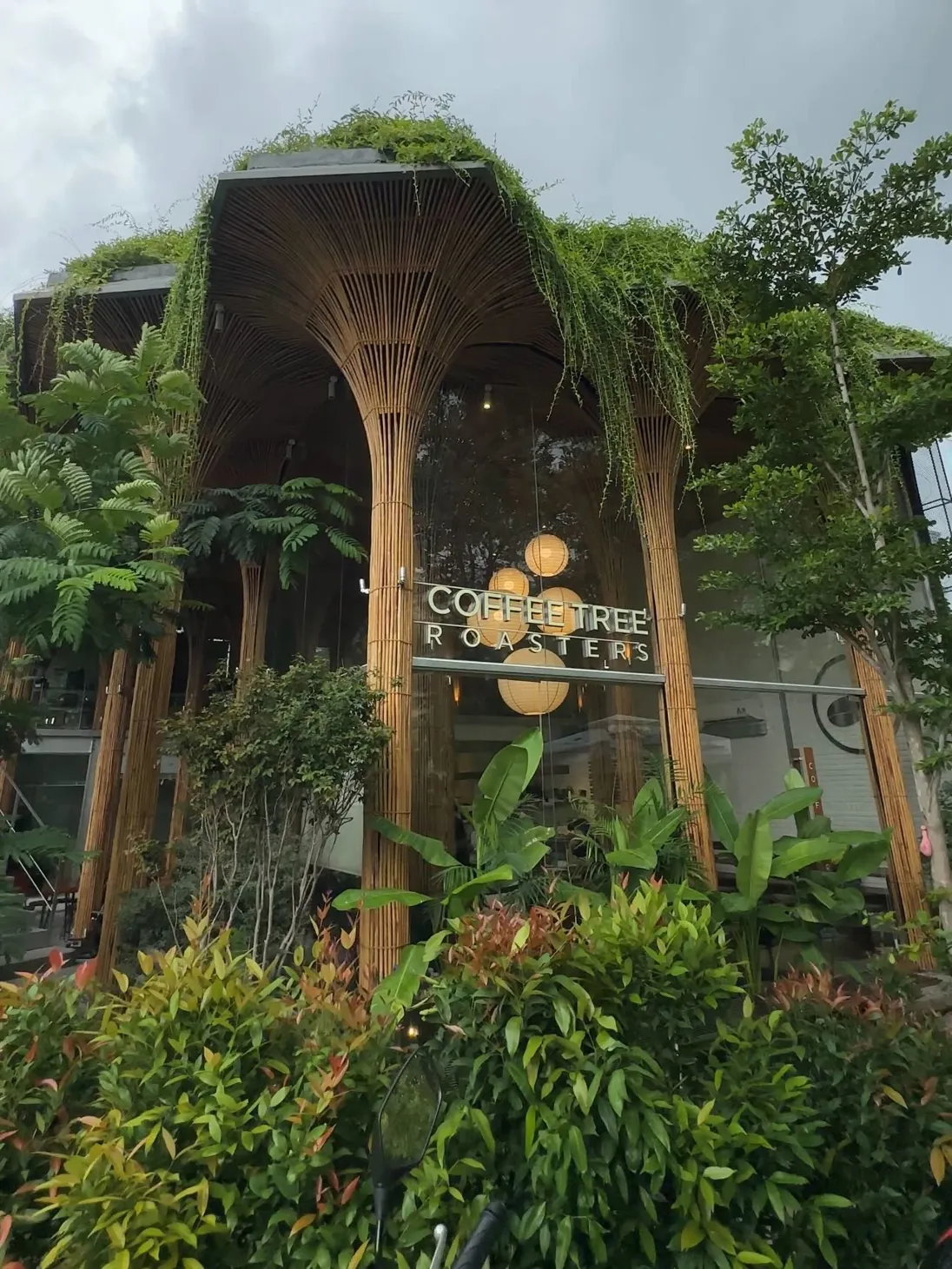 커피트리 로스터스 - Coffee Tree Roasters - 1
