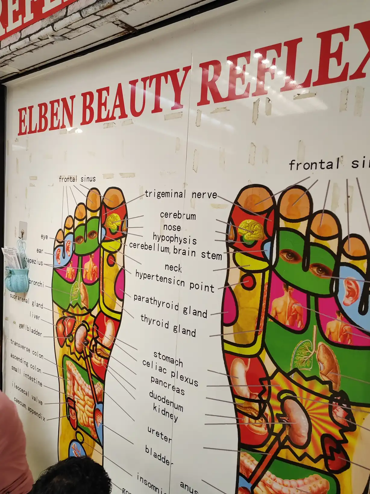 Elben