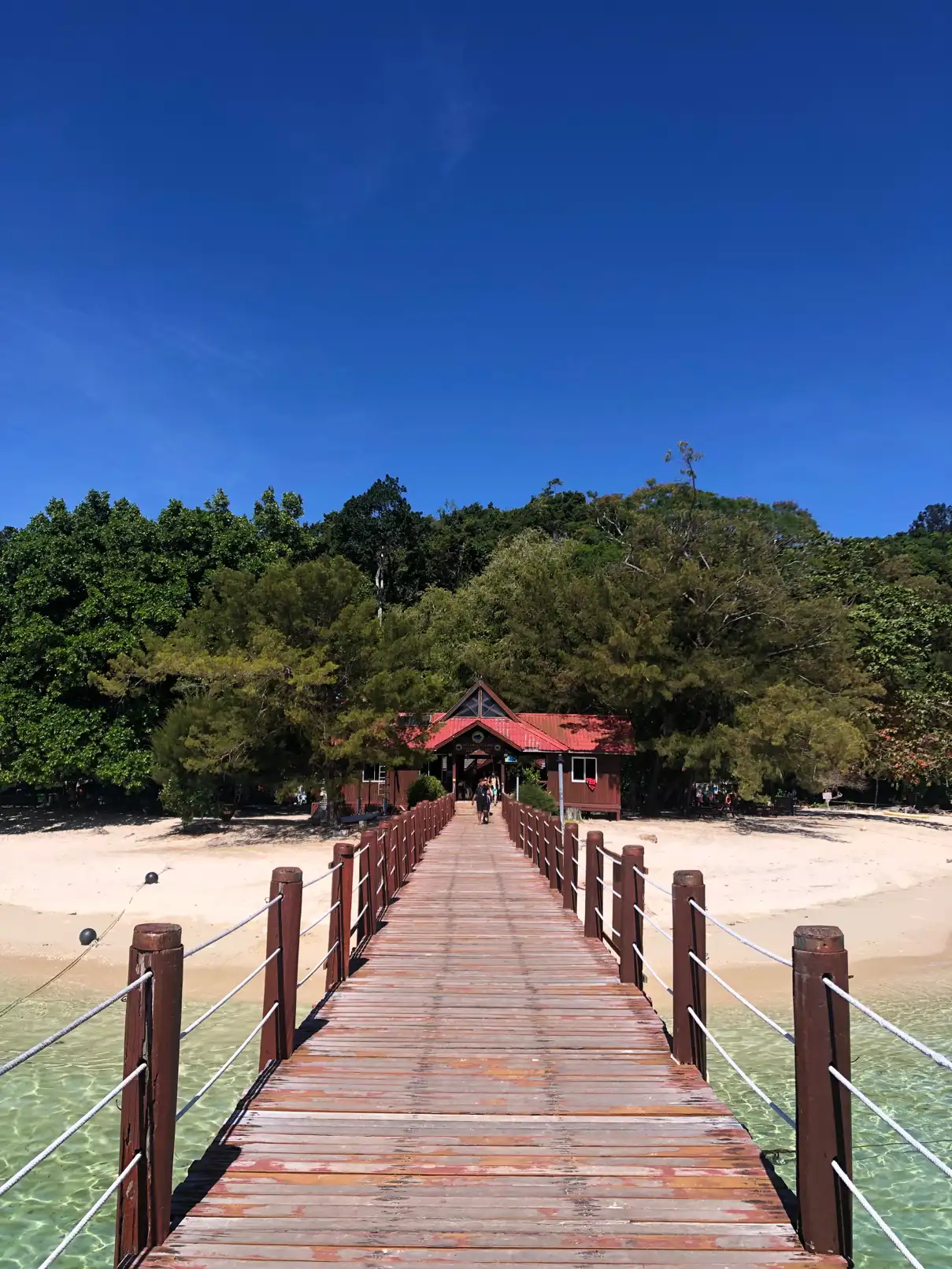 Sapi island | Jeff_Yu_Ji_Tae